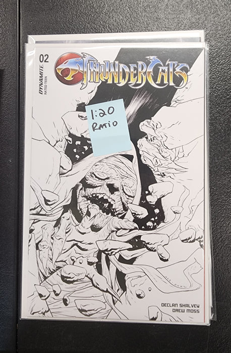 THUNDERCATS #2 1:20