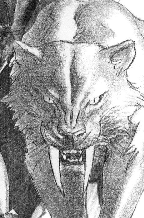 BLACK CAT #2 ALEX ROSS TIMELESS VIRGIN SKETCH VARIANT