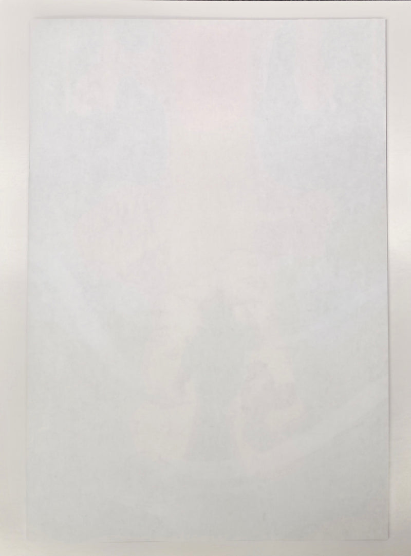 DUNGEON CRAWLER CARL SPECIAL EDITION #0 AKIRA HOMAGE BLANK VIRGIN ARTIST COVER